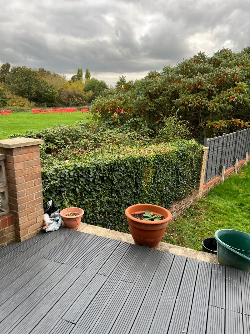 Same garden boundary hedge cut back and tidied