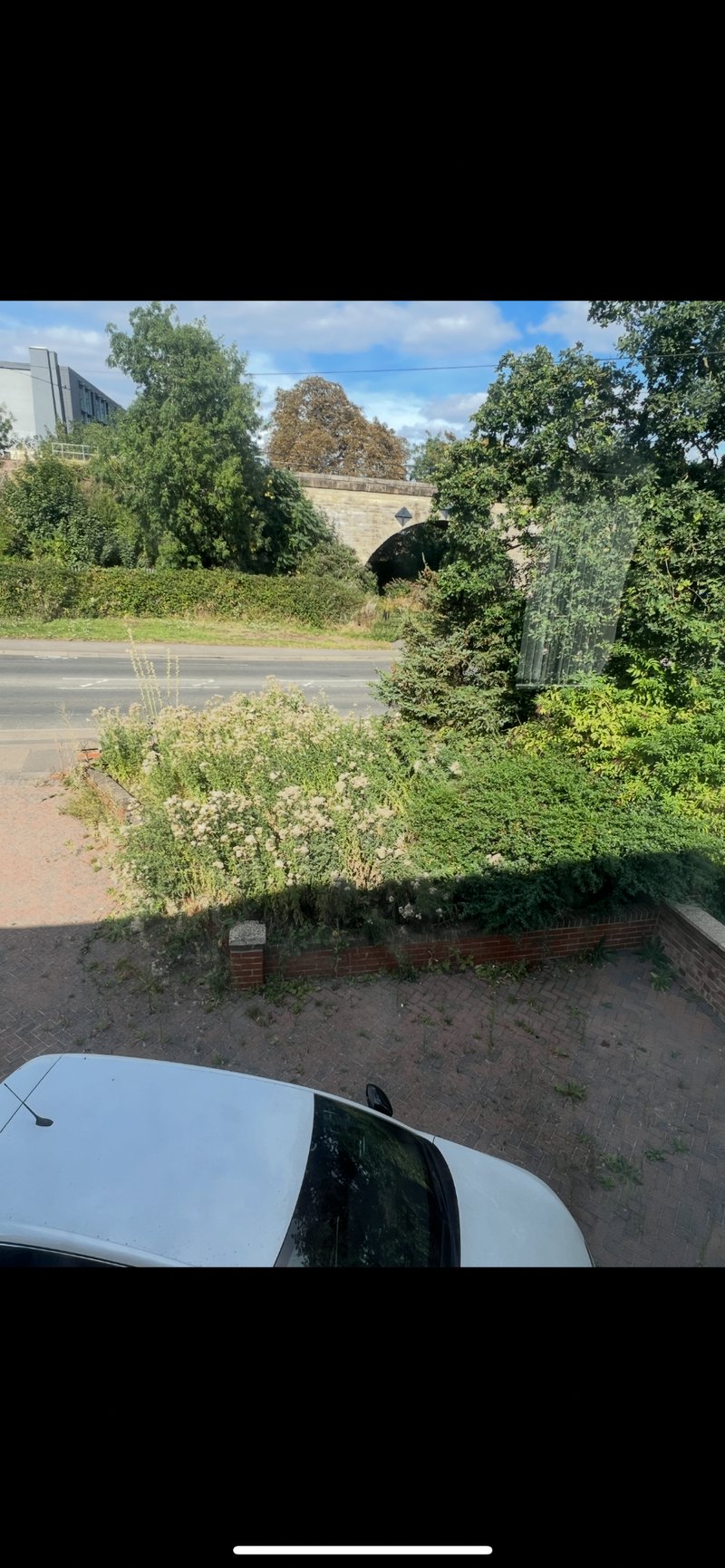Overgrown front garden bed beside a brick wall and driveway before clearance